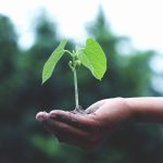 Green Plant - News italiane per ogni costa del mondo - La Costa Group